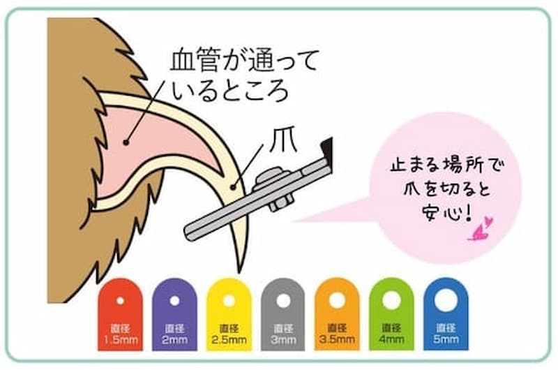 猫の爪切りのやり方の説明図