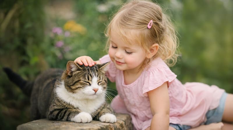 猫を撫でている女の子