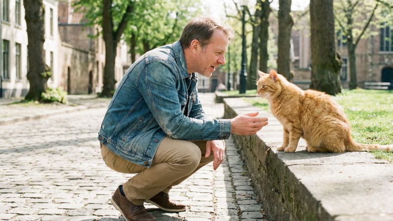 散歩中に見かけた猫にやさしく話しかけている白人男性