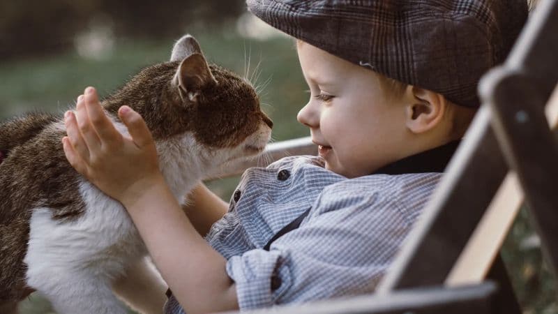 4歳くらいの男の子と猫が見つめあっている